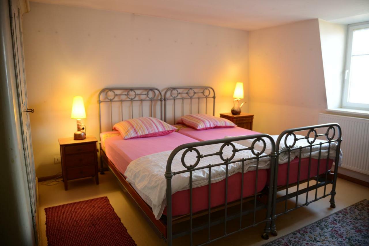 Albrecht guest apartement Kembs Buitenkant foto